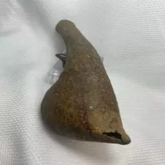  Antique 19th Century? Indonesian? Handmade Powderhorn Flask Hunting Canteen 