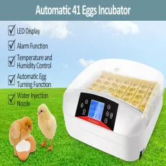 41 Egg Chicken Egg Incubator Incubators for Hatching Duck Quail Eggs Poultry