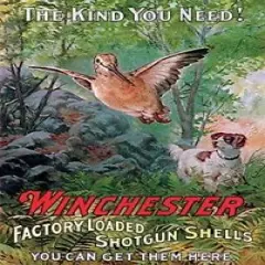 Winchester Bird Hunting Dog Shotgun Shells Outdoors Metal Sign 8 x 12 Inches