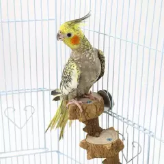 Parakeet Bird Perch Parrot Cockatiel Budgie Conure Toys Large Bird 4 Steps Wo