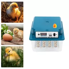 Automatic 16 Eggs Incubator Brooding Machine for Hatching Eggs Chicken Quail NEW