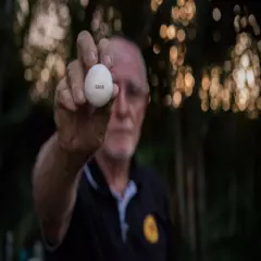 Playable Authentic Feathery Golf Ball