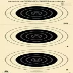 A-25 [A25] Official NRA 100 Yard Smallbore Rifle Targets, on Tagboard