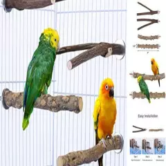 Natural Wood 4Pcs Bird Perches Stand, Hanging Cage Toys Accessories for Style 1