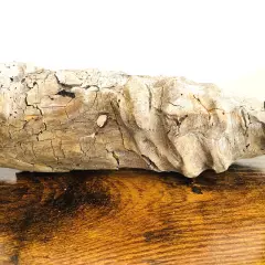 Natural Driftwood 12 Inch Long Beach Decor Aquarium Air Plant Holder