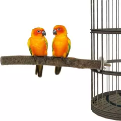 3 Pack Apple Wood Bird Perch for Cage, Natural Wooden Parrot Perch Stand Platfor