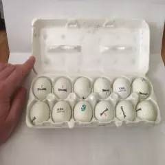 Unique Doral Country Club Souvenir - One Dozen Branded Golf Balls In Egg Carton