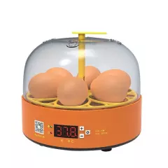 Mini 6Mini 6 Chick Incubator Small Home Science and Education Cross-Border