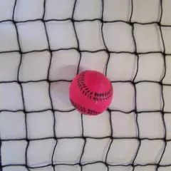 18' x 7' BASEBALL NET SOFTBALL BLACK SQUARE NYLON NETTING 2" #18 BLACK SQUARE