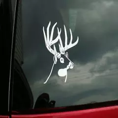 2 Whitetail Buck Deer Decal Sticker