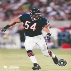 Brian Urlacher Chicago Bears unsigned 8x10 Photo