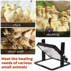 Chicken Brooder Heater, Chick Warmer with Adjustable Temperature, 10" x 10" B...