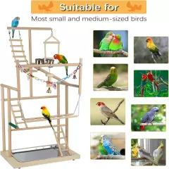 Pet Parrot Playstand Parrots Bird Playground Play Stand Wood Color 