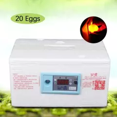 20 Egg Incubator Chicken Quail Hatcher Automatic Incubators for Hatching Eggs