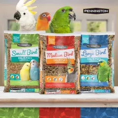 Medium Bird Everyday Blend Dry Bird Food for Cockatiels, Love Birds; 3 Lb Bag