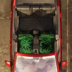 Cannabis Car Seat Covers - 420, Weed, Marijuana theme car seat covers