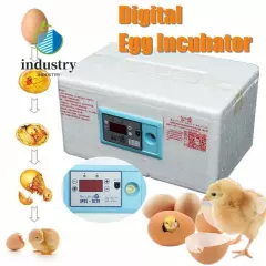 Automatic Digital Incubator Poultry Hatcher Temperature Control Brooder 20 Eggs