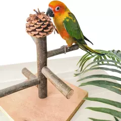 Bird Perch Stand, Portable Tabletop Bird Play Stand Parrot Training Perch 