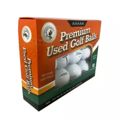 24 Golf Balls- Titleist Variety Mix White - AAAAA