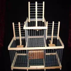 Trap Cage with 3 Traps for birds