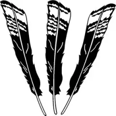 Three Decal set TOM JAKE TURKEY FEATHERS Hunting Call Life Size decal sticker