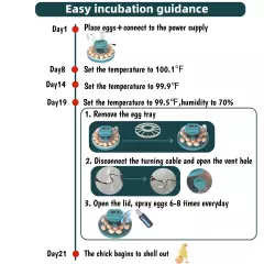 Egg Incubator, Intelligent Incubator for Chicken Eggs with Automatic Humidity...