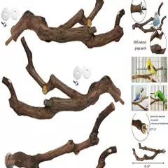  Natural Parrot Perch Bird Stand Pole Wild 3 pcs grape forked bird perches