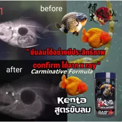 4X CZ Aqua Kenta Goldfish Food Gas Release Formula Problem Balance Sinking Pelle