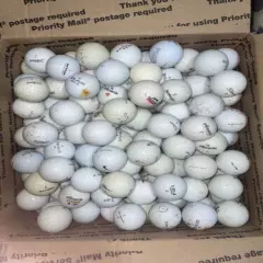 120 Golf Balls Titelist Nike Callaway Top Flight Pinnacle Etc Shag Used