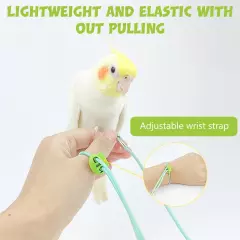 Parrot Leg Ring, 6.6ft Parrot Ring for Leg, Elastic Parrot Toy Bird Aviator