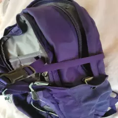 North Face Borealis Classic Backpack Purple