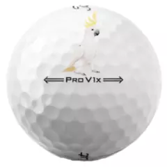 Titleist Pro V1x 2022 White 24 5A Pro V1x AAAAA 2022 Used Washed Titleist V1x