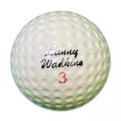 1 Dozen Assorted Vintage Lenny Wadkins Signature Golf Balls