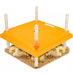 Brooder Heater for Chicks, 10" x 10" Thermostatically Controlled Brooder Heat...