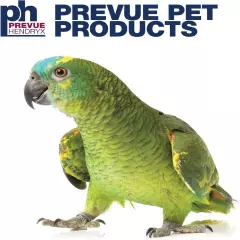 Prevue Pet Products Parrot 30.0"L x 22.0"W x 73.5"H, Black Hammertone 