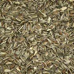 Striped Sunflower Wild Bird Food 5 Pounds