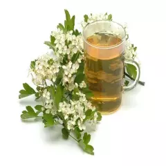 Hawthorn Tea - Loose Leaf & Flower from 100% Nature, Wild Crafted from Europe