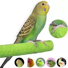 Bird Platform for Parakeet Cockatiels Perch, 4 Pack