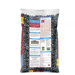 Pennington Select Black Oil Sunflower Seed Dry Wild Bird Feed, 40 lb. Bag, 1 Pac