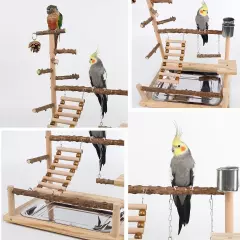 Bird Playground Parrot perch stand Natural Wood bird play stands for cockatie