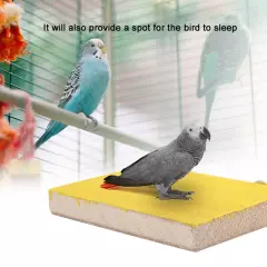 Bird Perch Stand Platform Toy Playground Paw Grinding for Pet Parrot Hamster