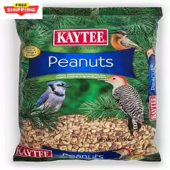 Shelled Peanuts for Woodpeckers, Nuthatches, Jays, Towhees, Cardinals, Indigo Bu