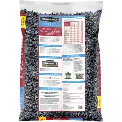 2 Pack Pennington Select Black Oil Sunflower Seed Dry Wild Bird Feed, 40 lb.Bag