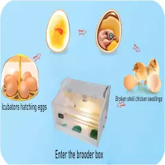 Intelligent Brooder Box 4 Suit,15-30 Newborns Chicks Birds Parakeet Incubators B