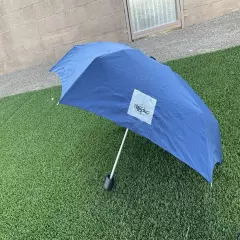 Collapsible Umbrella 