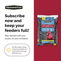 Pennington Select Black Oil Sunflower Seed Dry Wild Bird Feed, 10 lb. Bag 1 Pack