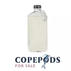 32 oz FRESHWATER - Tisbe, Trigio, Apo Copepods - With Phyto in bottle!-FREE SHIP