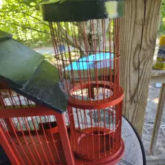 Small Barn Bird Cage