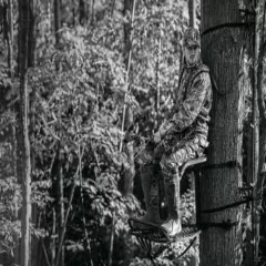 Millennium Treestands M50 Hang-On, for Hunters 