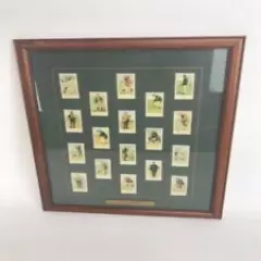 18 FRAMED AND MATTED COPIES TOBACCO GOLF TRADING CARDS With History